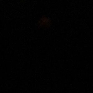 Meet your Posher, Nadia